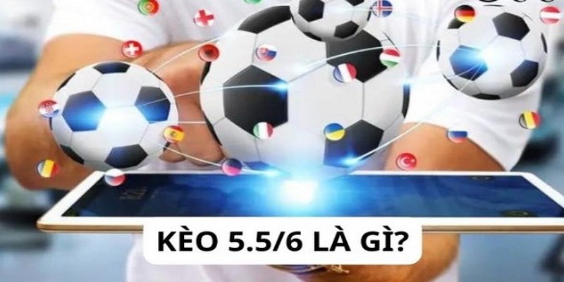 kèo 5.5/6 là gì