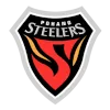Logo Pohang Steelers