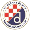 Logo St Albans Saints