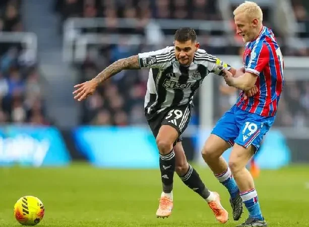 Siêu máy tính dự đoán Crystal Palace vs Newcastle, 20h00 ngày 12/4